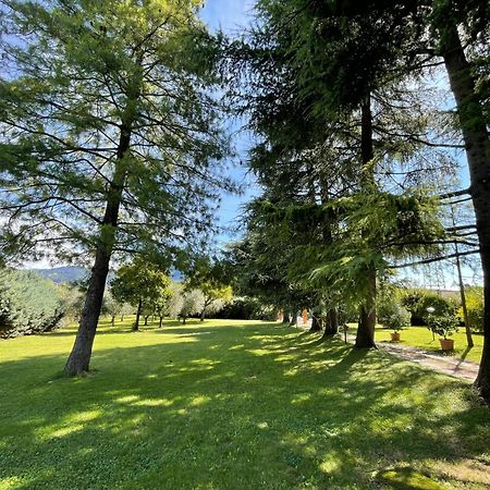 Secret Garden Egle Villa Caprino Veronese Exteriör bild
