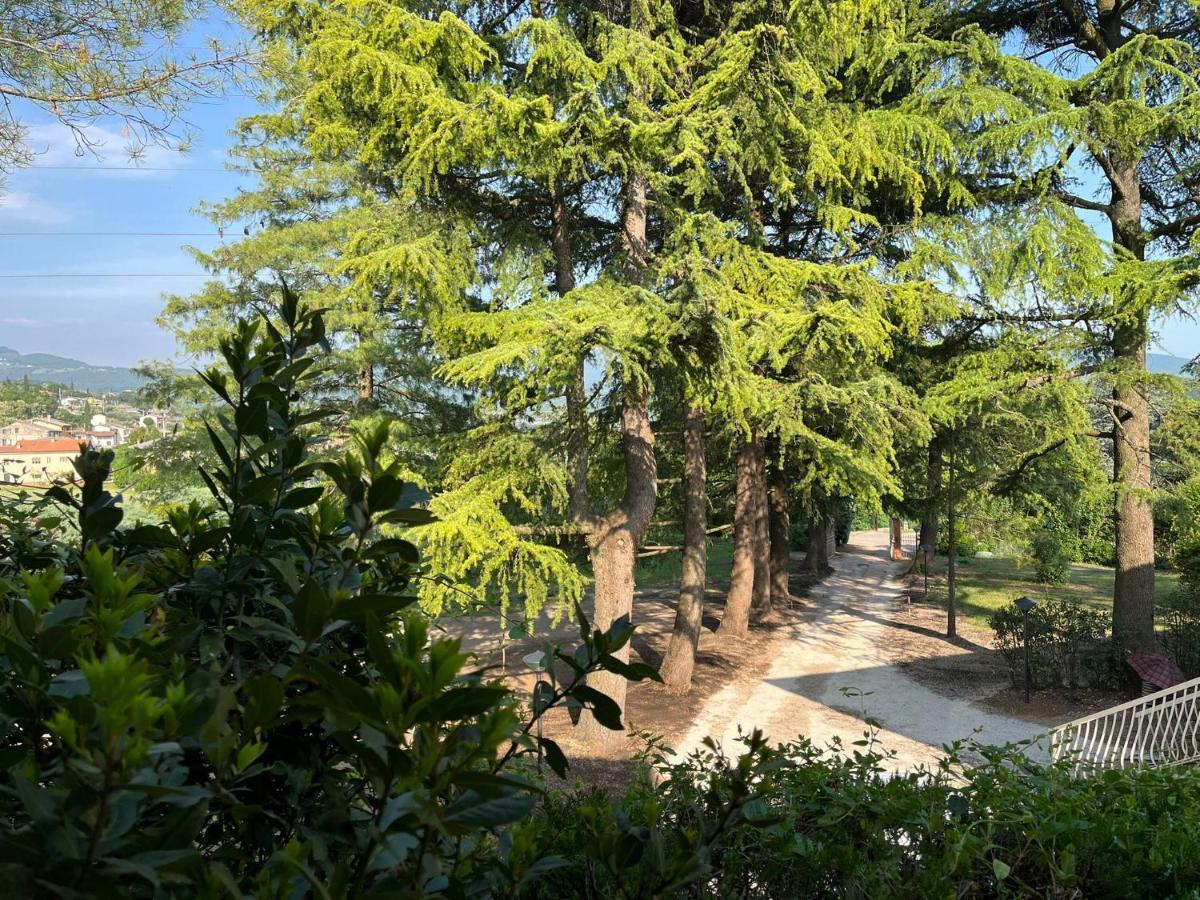 Secret Garden Egle Villa Caprino Veronese Exteriör bild